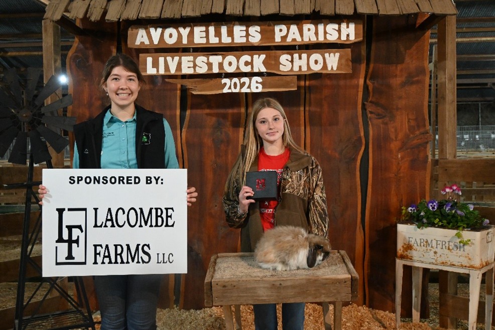 Best in Show.jpg thumbnail